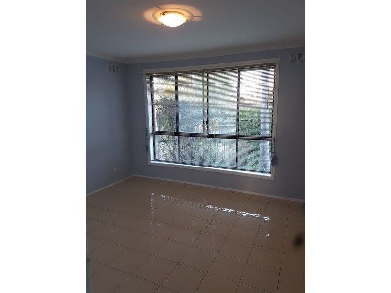 Macquarie Fields NSW 2564