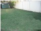 Bradbury NSW 2560