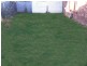 Minto NSW 2566
