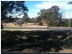 Minto NSW 2566