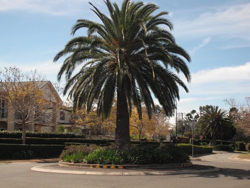 Macquarie Links NSW 2565