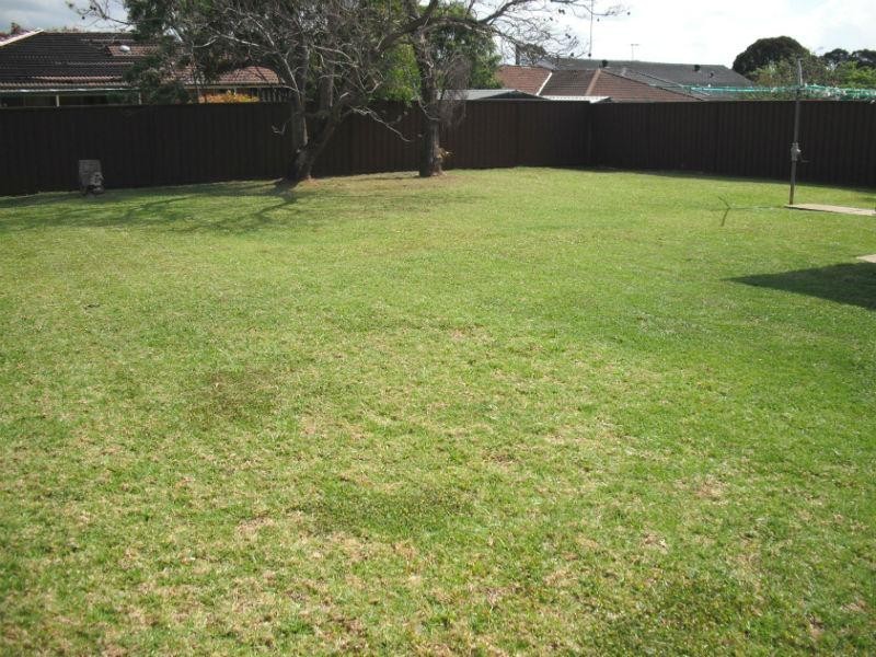 Ingleburn NSW 2565