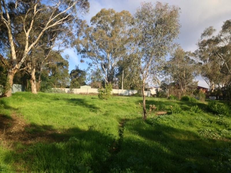837 Miller Street WEST ALBURY 2640, West Albury NSW 2640