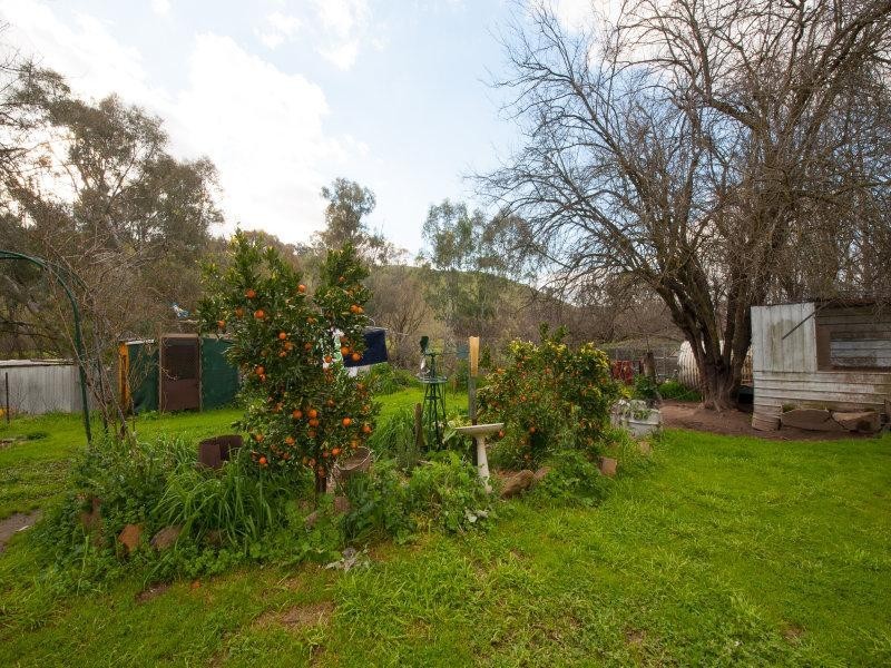 658 Woomargama Way, Woomargama NSW 2644