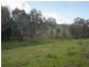 658 Woomargama Way, Woomargama NSW 2644