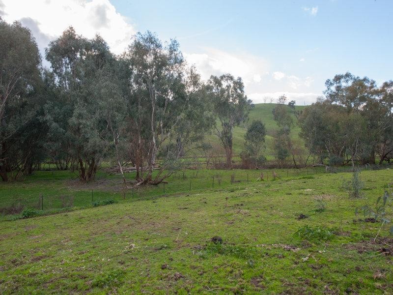 658 Woomargama Way, Woomargama NSW 2644