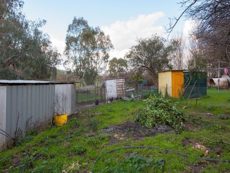 658 Woomargama Way, Woomargama NSW 2644