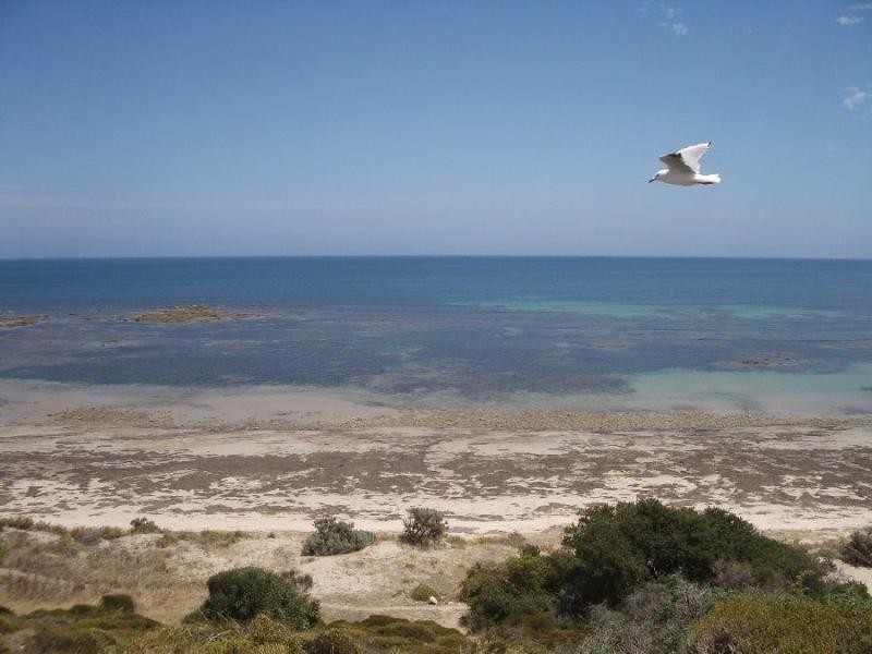 21 Humphrys Road ALDINGA BEACH 5173, Aldinga Beach SA 5173