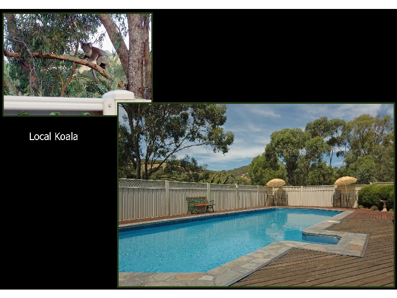 10 Hillsdale  Avenue COROMANDEL VALLEY 5051, Coromandel Valley SA 5051