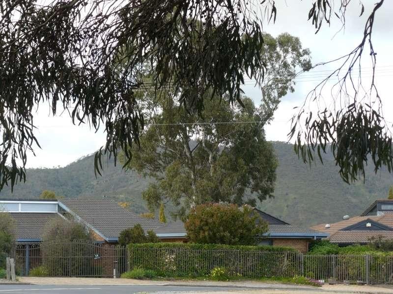 1107 Lower North East  Road HIGHBURY 5089, Highbury SA 5089