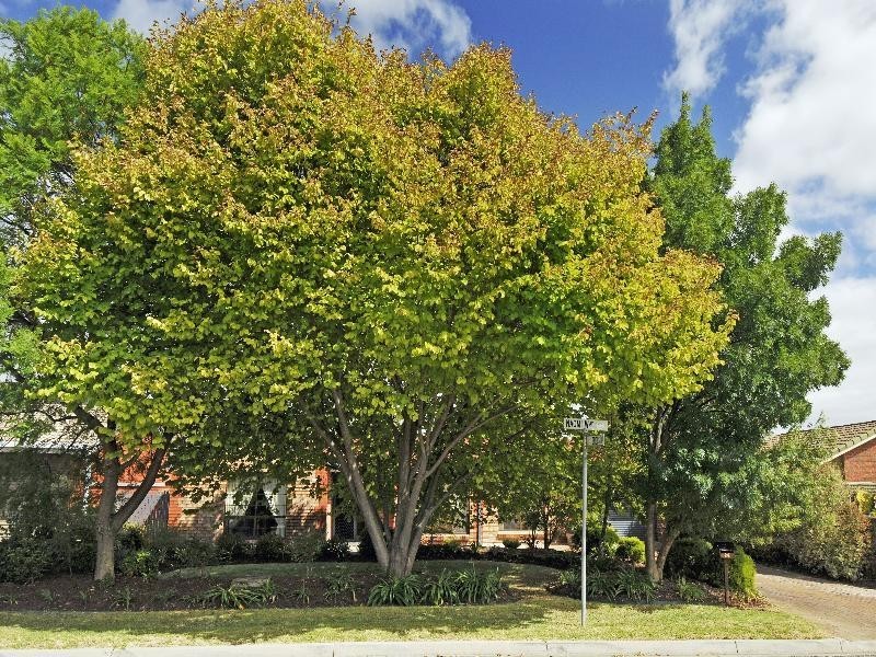 24 Naomi Way ATHELSTONE 5076, Athelstone SA 5076