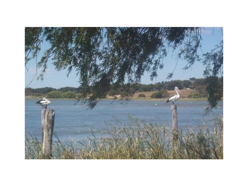 40 Edison  Street HINDMARSH ISLAND 5214, Hindmarsh Island SA 5214