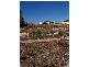 14 Wentworth Parade HINDMARSH ISLAND 5214, Hindmarsh Island SA 5214
