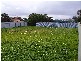 3 Aldam Avenue ALDINGA BEACH 5173, Aldinga Beach SA 5173