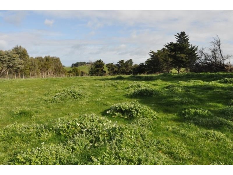 58 Dalyston Glen Forbes Road DALYSTON 3992, Dalyston VIC 3992