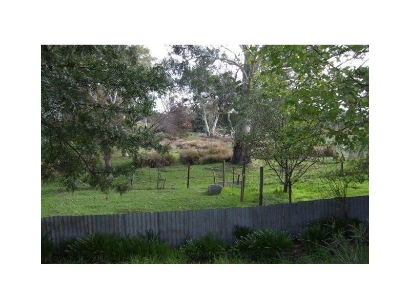 56 Wild Street WILLIAMSTOWN 5351, Williamstown SA 5351