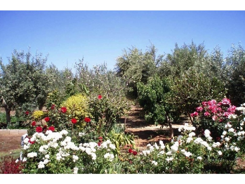 Lot 3 Sheedy  Road VIRGINIA 5120, Virginia SA 5120