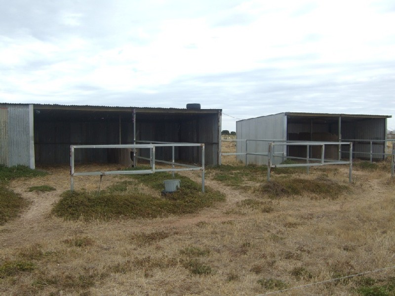 Lot 131 Supple  Road VIRGINIA 5120, Virginia SA 5120