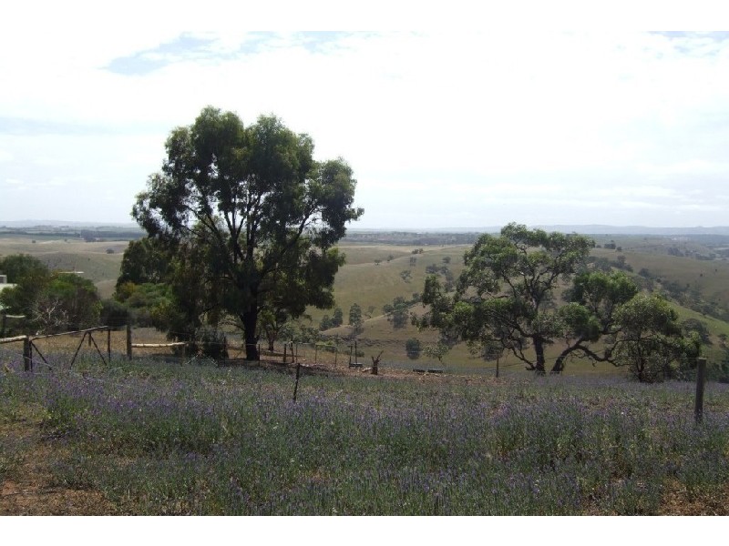 Lt 373 Gawler One Tree Hill  Road BIBARINGA 5118, Bibaringa SA 5118