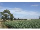 Lt 373 Gawler One Tree Hill  Road BIBARINGA 5118, Bibaringa SA 5118