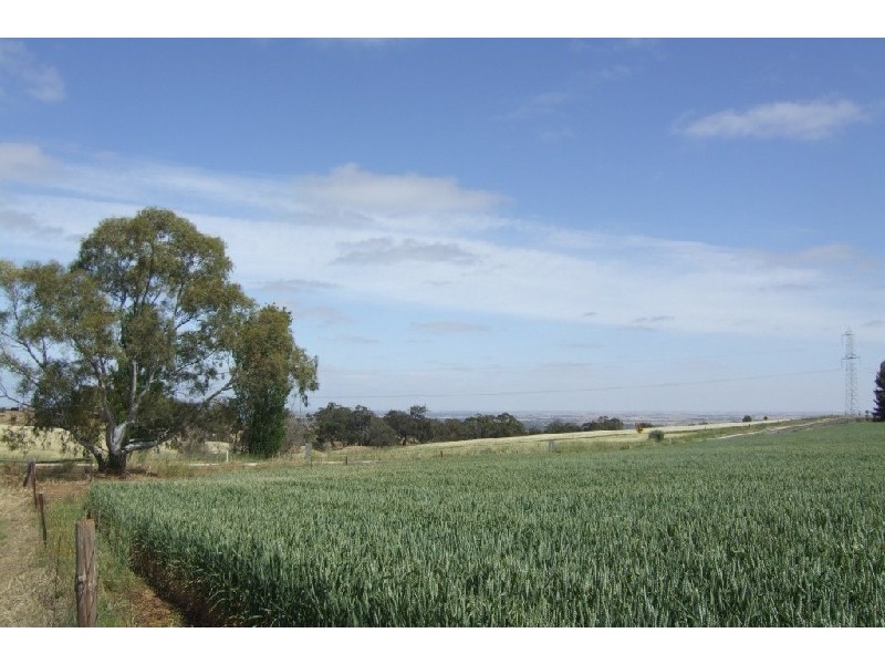 Lt 373 Gawler One Tree Hill  Road BIBARINGA 5118, Bibaringa SA 5118