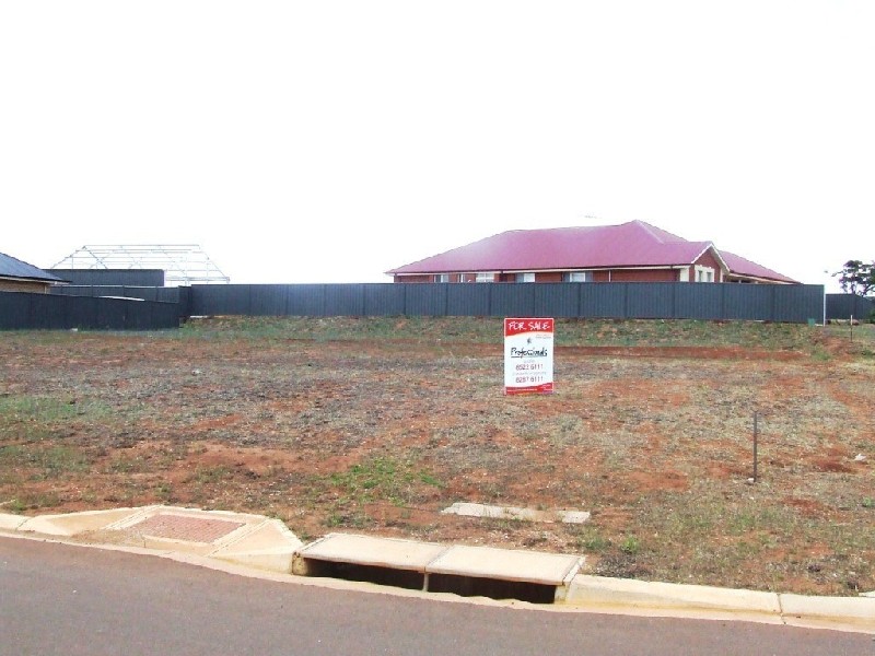 Lot 61 Cnr Mickan And Schliebs  Road STOCKWELL 5355, Stockwell SA 5355