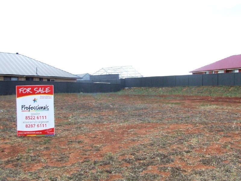 Lot 61 Cnr Mickan And Schliebs  Road STOCKWELL 5355, Stockwell SA 5355