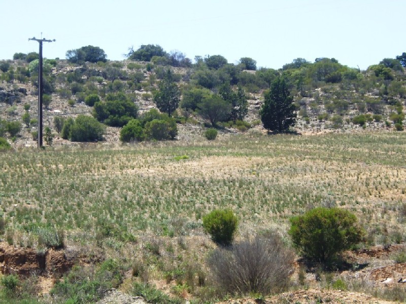 Lot 3 East Font  Road MANNUM 5238, Mannum SA 5238