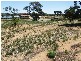 Lot 3 East Font  Road MANNUM 5238, Mannum SA 5238