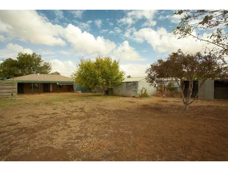 53 Borrow  Street FREELING 5372, Freeling SA 5372