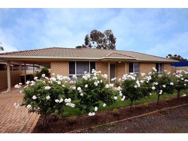 1A Tait Avenue MARION 5043, Marion SA 5043