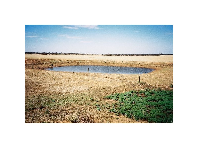 Sec 115 Mallee Rd Sutherlands   EUDUNDA 5374, Eudunda SA 5374