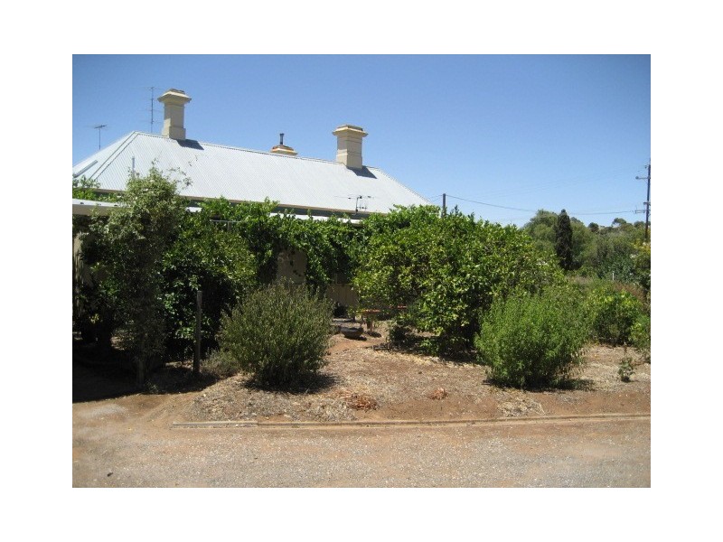 56 Barwell  Street EUDUNDA 5374, Eudunda SA 5374