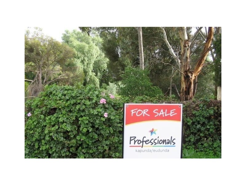 17 James  Street KAPUNDA 5373, Kapunda SA 5373