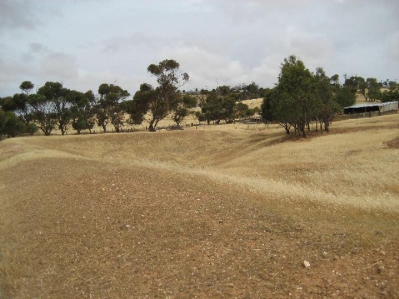 Lt 311 Three Chain Road EUDUNDA 5374, Eudunda SA 5374