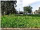 4  Glanton Crescent WINDSOR GARDENS 5087, Windsor Gardens SA 5087