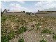 - Albert  Place MURRAY BRIDGE 5253, Murray Bridge SA 5253