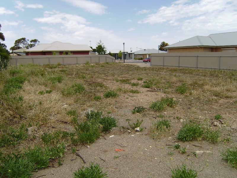 - Albert  Place MURRAY BRIDGE 5253, Murray Bridge SA 5253