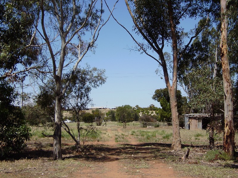- Cypress Terrace MURRAY BRIDGE 5253, Murray Bridge SA 5253