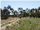 - Cypress Terrace MURRAY BRIDGE 5253, Murray Bridge SA 5253