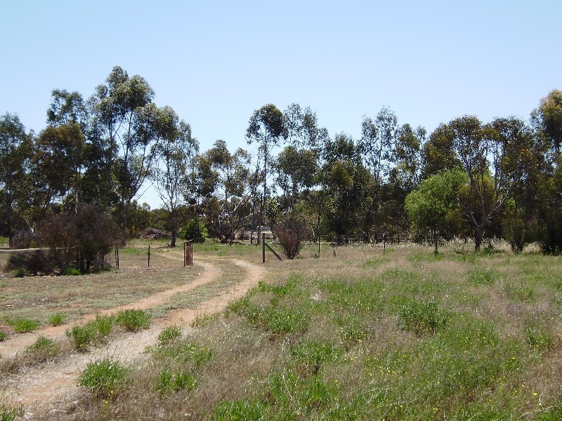 - Cypress Terrace MURRAY BRIDGE 5253, Murray Bridge SA 5253