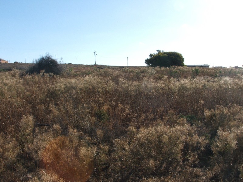 - Woods Point  Road WOODS POINT 5253, Woods Point SA 5253
