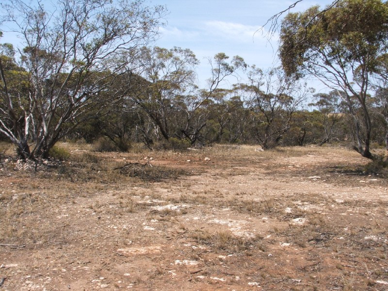 - Whytes Well  Road WYNARKA 5306, Wynarka SA 5306