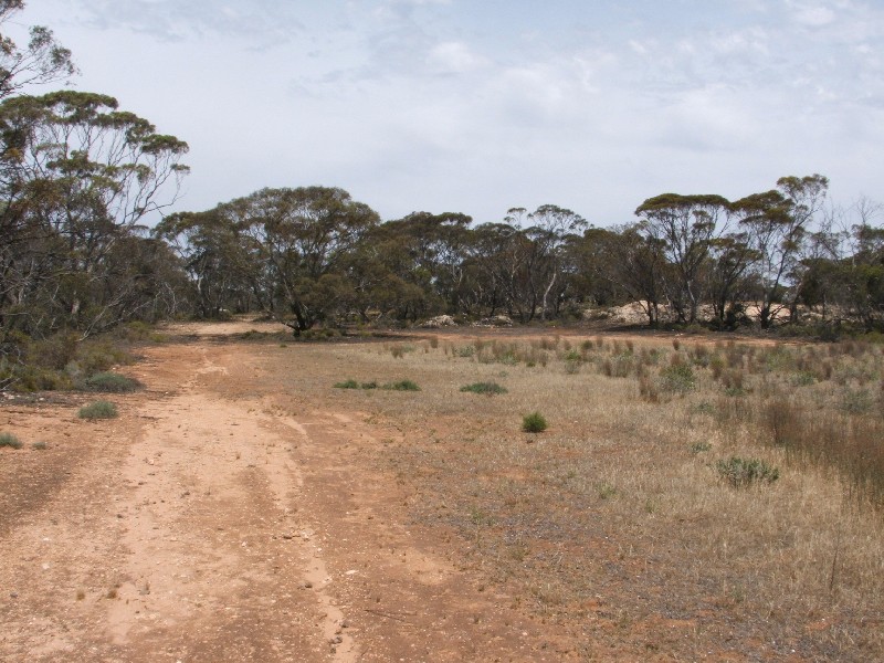 - Whytes Well  Road WYNARKA 5306, Wynarka SA 5306