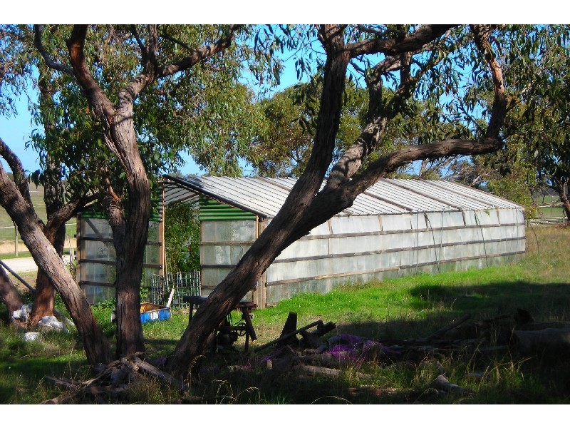 - Pinnaroo  Road BORDERTOWN 5268, Bordertown SA 5268