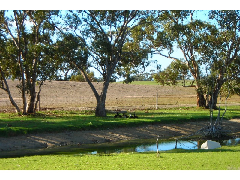 - Pinnaroo  Road BORDERTOWN 5268, Bordertown SA 5268