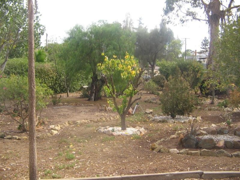 36 Clara Street MURRAY BRIDGE 5253, Murray Bridge SA 5253