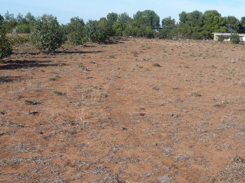 Lot 3 Bungana Drive MURRAY BRIDGE 5253, Murray Bridge SA 5253