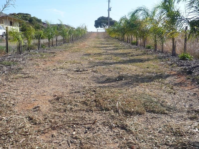 Lot 3 Bungana Drive MURRAY BRIDGE 5253, Murray Bridge SA 5253