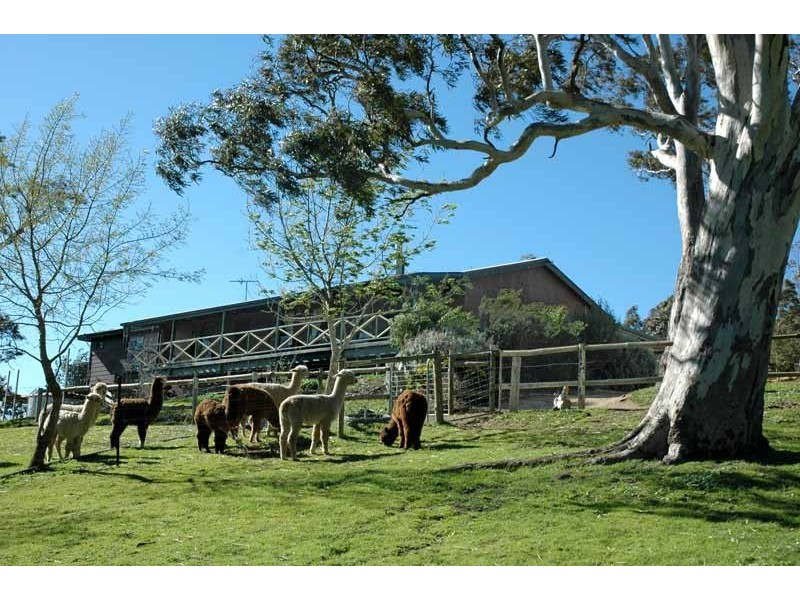 Lot 17 Springs  Road MOUNT BARKER 5251, Mount Barker SA 5251